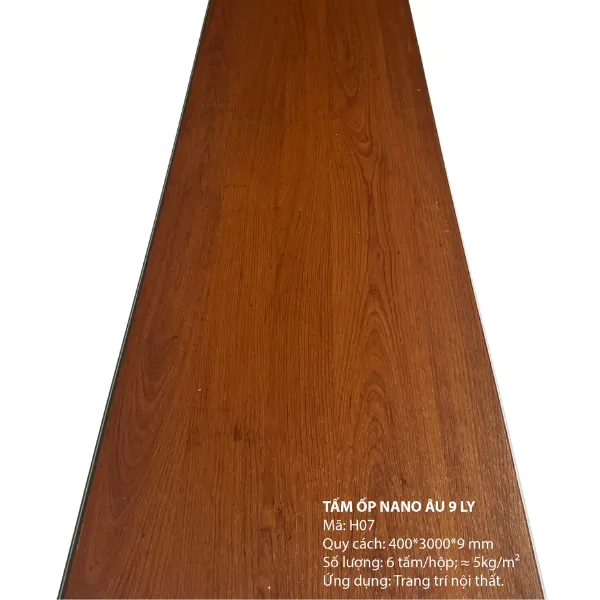 Tấm ốp nano H07